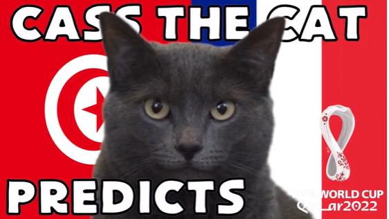 Meo tien tri du doan tran Phap vs Tunisia