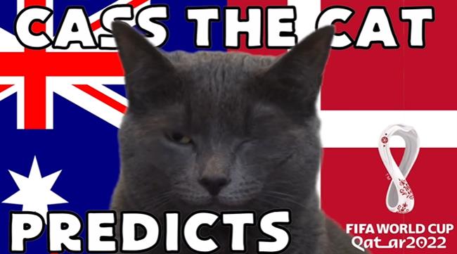 Meo tien tri du doan ket qua tran Australia vs dan Mach