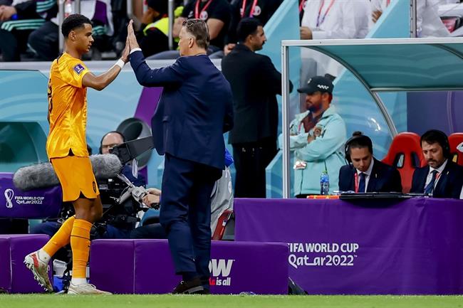 Cody Gakpo lập kỷ lục trong ngày Hà Lan đánh bại Qatar 7 Cody Gakpo lập kỷ lục trong ngày Hà Lan đánh bại Qatar 7