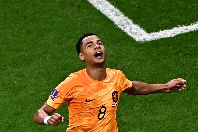 Cody Gakpo lập kỷ lục trong ngày Hà Lan đánh bại Qatar 3 Cody Gakpo lập kỷ lục trong ngày Hà Lan đánh bại Qatar 3