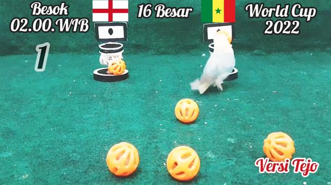 Vet tien tri du doan the nao ve tran Anh vs Senegal