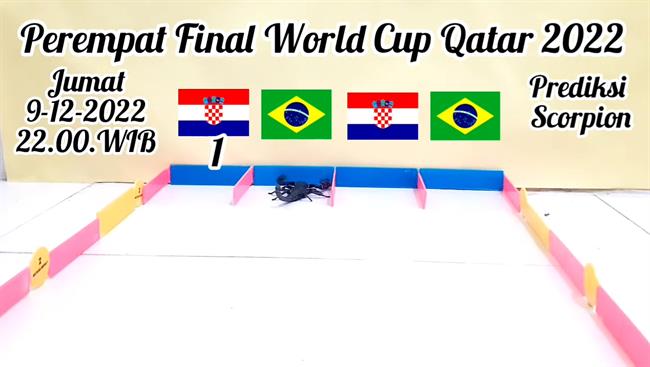 Bọ cạp tiên tri dự đoán kết quả trận Croatia vs Brazil Bo cap tien tri du doan ket qua tran Croatia vs Brazil