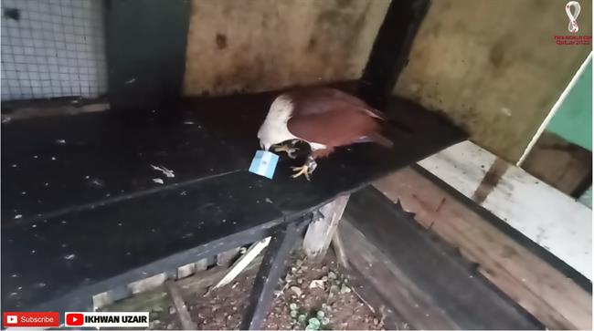 dai bang du doan ket qua tran Argentina vs Croatia