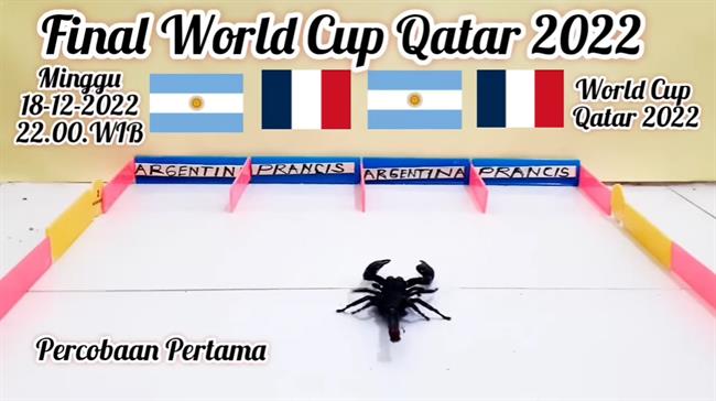 Bọ cạp tiên tri dự đoán kết quả trận Argentina vs Pháp