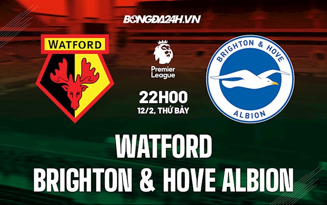 Watford vs Brighton