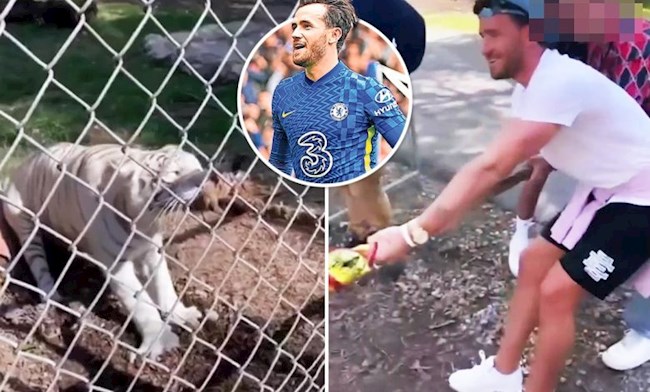 Ben Chilwell và bạn gái kéo co với hổ