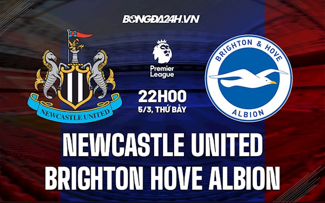 Newcastle VS Brighton