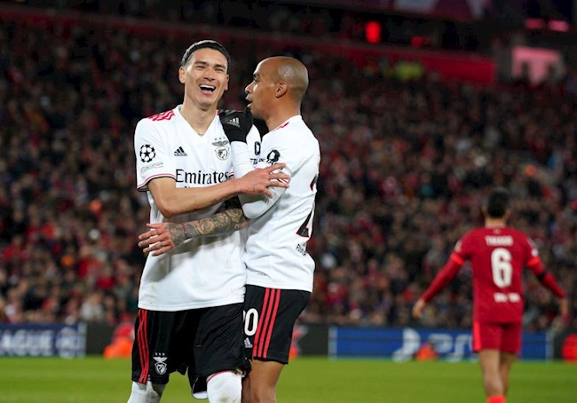 Sát thủ của Benfica nói gì khi được Klopp ngợi khen 1