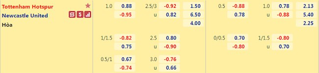 Tottenham vs Newcastle