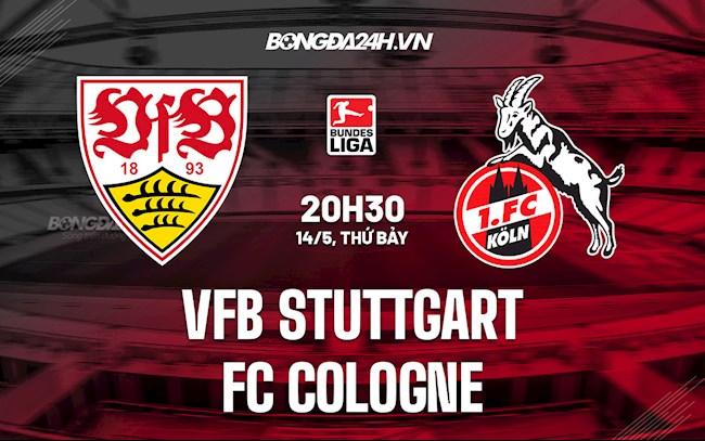 Nhận định bóng đá Stuttgart vs Cologne 20h30 ngày 14/5 (VĐQG Đức 2021/22)
