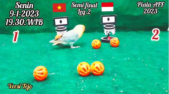 Chim than du doan ket qua tran Viet Nam vs Indonesia