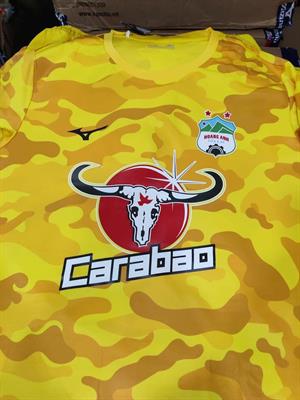 HAGL chấp thuận điều khoản về tài trợ theo quy định của VPF 2