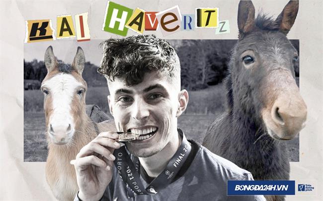 Kai Havertz: “Tôi thấy có mối liên hệ đặc biệt với những chú lừa”