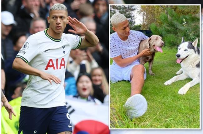 Vì những chú chó, Richarlison đối mặt với những cuộc điều tra