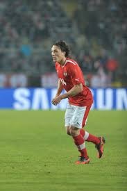 Julian Baumgartlinger