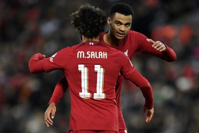 Cody Gakpo khen ngoi Mo Salah