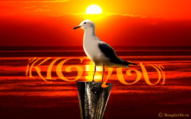 Brighton: Chú chim mòng biển sải cánh vươn xa