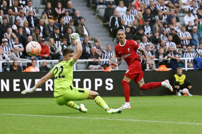 Nhận định Brighton vs Newcastle (23h30 ngày 29) Đại tiệc tấn công 2