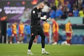 Vanja Milinkovic-Savic