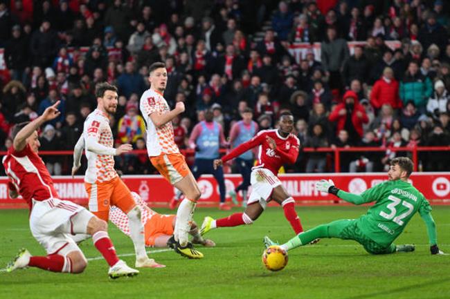 steve mandanda