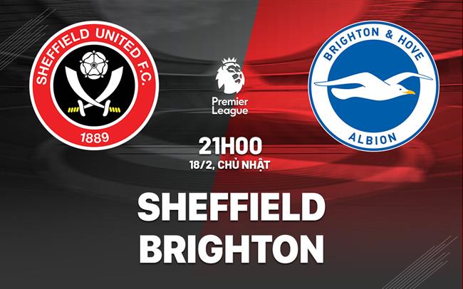 nhan dinh bong da du doan Sheffield vs Brighton ngoai hang anh premier league hom nay nhan dinh bong da du doan Sheffield vs Brighton ngoai hang anh premier league hom nay