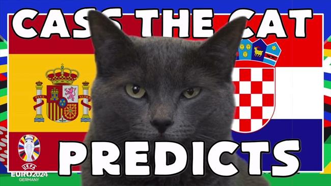 Mèo tiên tri dự đoán kết quả trận đấu Tây Ban Nha gặp Croatia