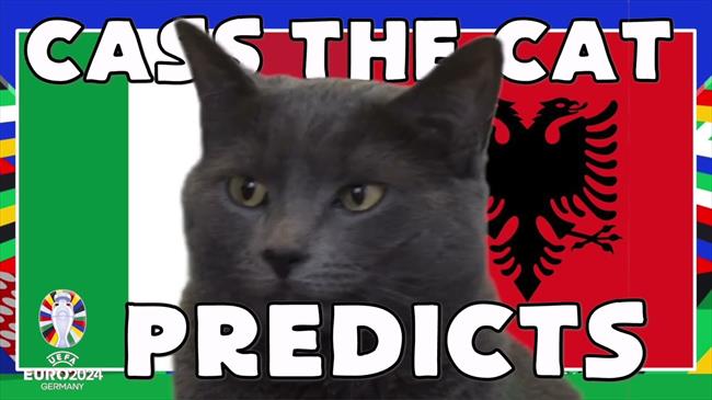 Mèo tiên tri Cass dự đoán trận ra quân EURO 2024 của nhà vô địch Italia 