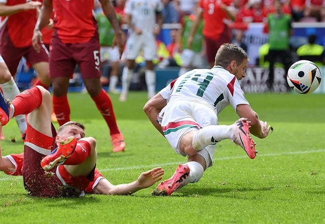 Hungary vs Thụy Sĩ số liệu thống kê sau trận Hungary vs Thuy Si so lieu thong ke sau tran