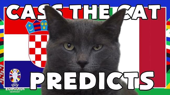 Mèo tiên tri Cass tiếp tục gây sốc về dự đoán kết quả trận Croatia - Italia