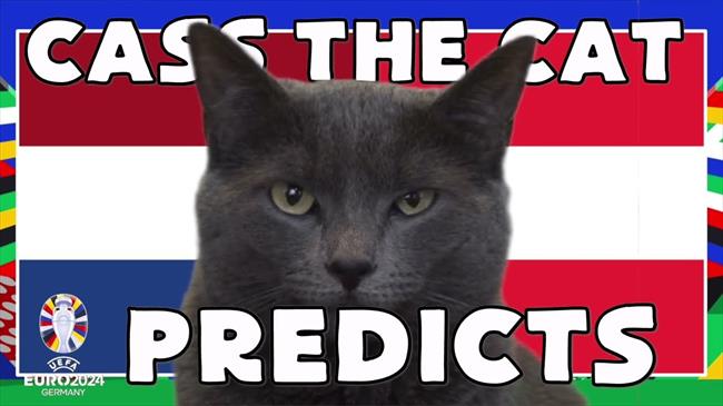 Mèo tiên tri dự đoán khó tin về kết quả trận Anh - Slovenia