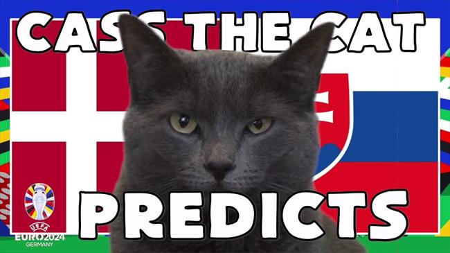 Mèo tiên tri dự đoán kết quả trận Đan Mạch vs Serbia