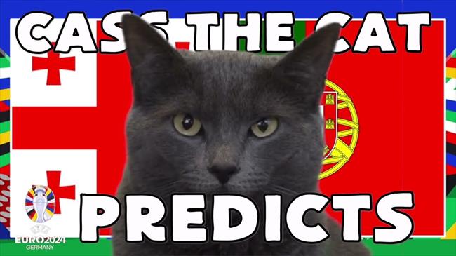 Xem mèo tiên tri dự đoán trận Georgia và Bồ Đào Nha