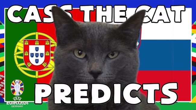 Mèo tiên tri dự đoán kết quả trận Bồ Đào Nha vs Slovenia