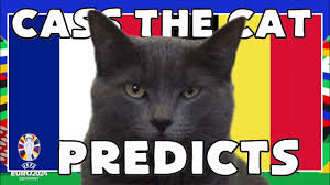 Mèo tiên tri dự đoán thế nào về trận Pháp vs Bỉ?