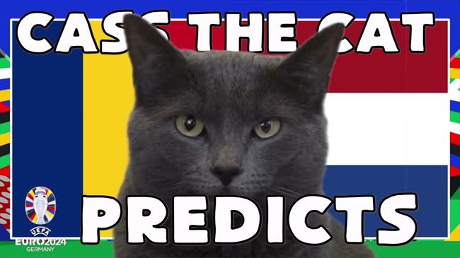 Dự đoán sốc về kết quả trận Romania và Hà Lan của mèo tiên tri