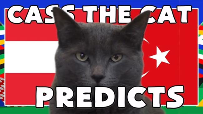 Video dự đoán kết quả trận Áo và Thổ Nhĩ Kỳ của mèo tiên tri