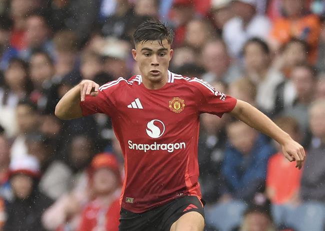 Harry Amass Harry Amass