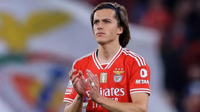 Alvaro Fernandez Alvaro Fernandez