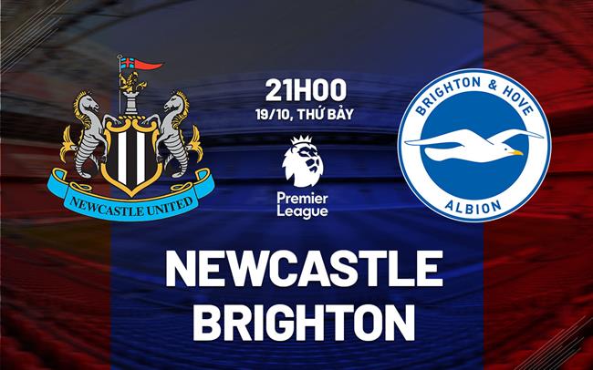 Trận Newcastle vs Brighton Một Cuộc Đối Đầu Hứa Hẹn Nhiều Bàn Thắng