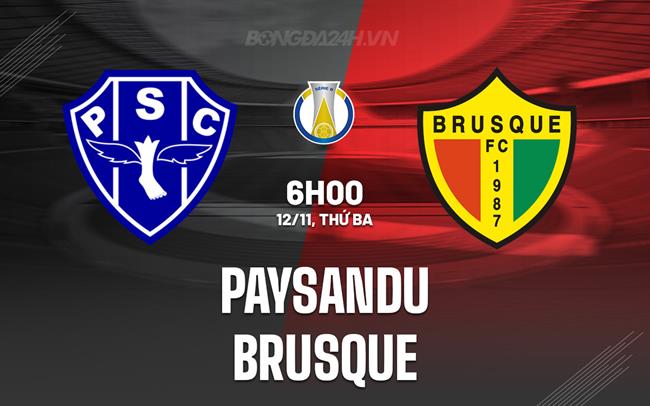 Nhận định bóng đá Paysandu vs Brusque 7h00 ngày 12/11 (Hạng 2 Brazil 2024)