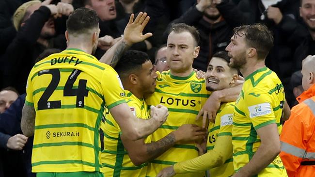Nhận định Norwich vs Brighton (22h00 ngày 111) Không dễ bắt nạt Chim hoàng yến 1