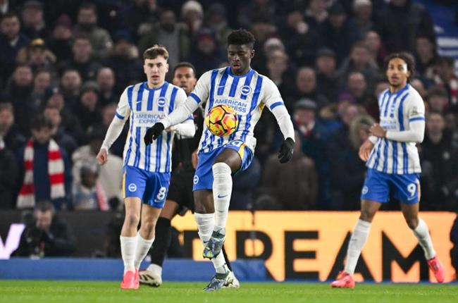 Nhận định Norwich vs Brighton (22h00 ngày 111) Không dễ bắt nạt Chim hoàng yến 2