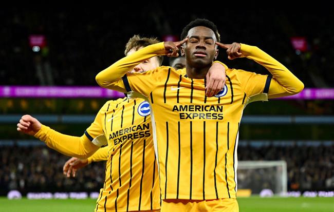 Nhận định Ipswich vs Brighton (02h30 ngày 171) Giăng bẫy “Hải âu” 2