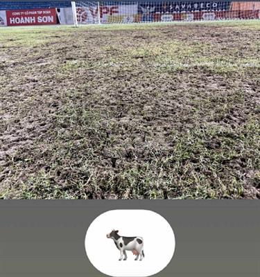 CLB Việt Nam chưa nếm mùi thất bại có nguy cơ bị “treo” sân 1 CLB Việt Nam chưa nếm mùi thất bại có nguy cơ bị “treo” sân 1