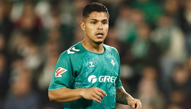 Tiểu sử cầu thủ Cucho Hernandez