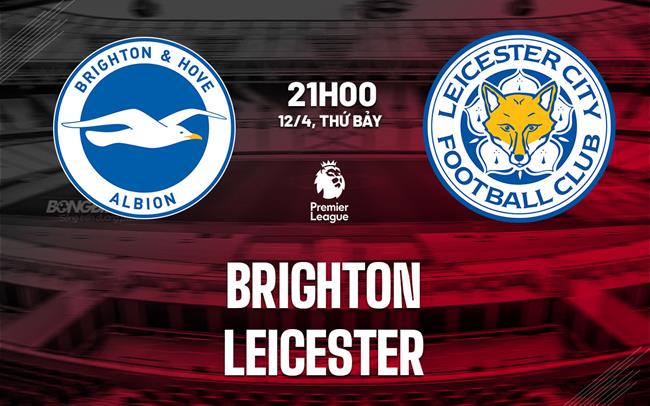 nhan dinh bong da du doan Brighton vs Leicester ngoai hang anh premier league hom nay nhan dinh bong da du doan Brighton vs Leicester ngoai hang anh premier league hom nay
