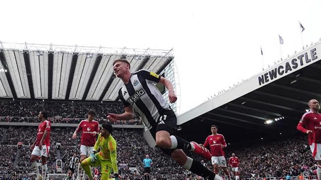 Nhận định Newcastle vs Crystal Palace (1h30 ngày 174) Chờ một trận cầu rựa lửa 1