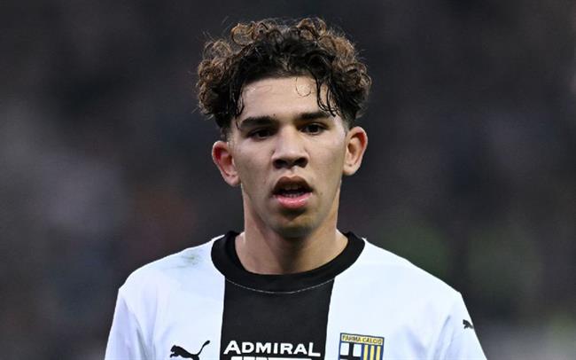 Tiểu sử tiền đạo Anas Haj Mohamed