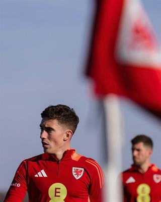 Harry Wilson