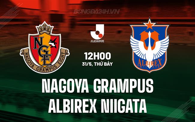 Nhận định Nagoya Grampus vs Albirex Niigata 12h00 ngày 31/5 (VĐQG Nhật Bản 2025)